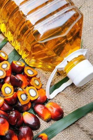Refined Palm Kernal Oil